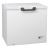 CONGELADOR HORIZONTAL JCH-300 (85X112X75.5) SMARTTHING
